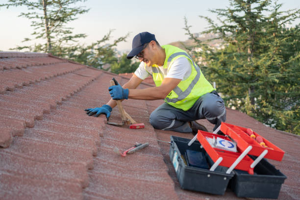 Quick and Trustworthy Emergency Roof Repair Services in River Ridge, FL